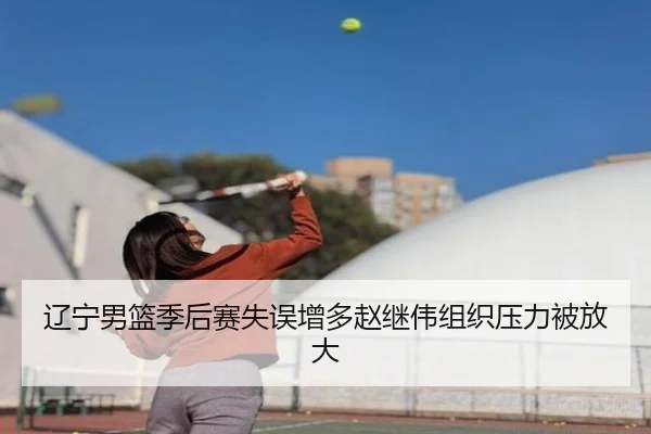 辽宁男篮季后赛失误增多赵继伟组织压力被放大
